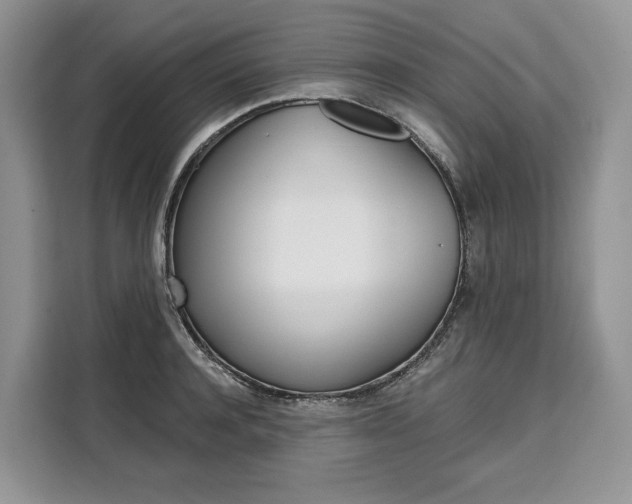 X0000110320944200905211203