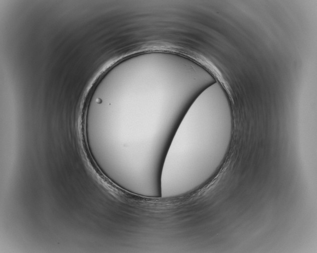 X0000110320947200905211203