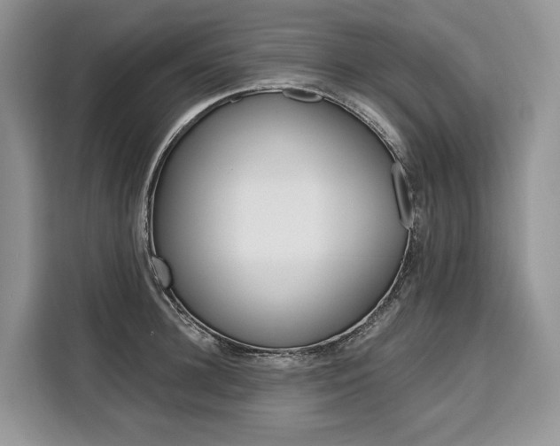 X0000110320948200905211203