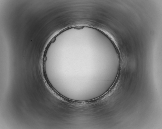 X0000110320949200905211203
