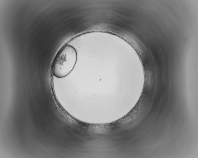 X0000110320950200905211203