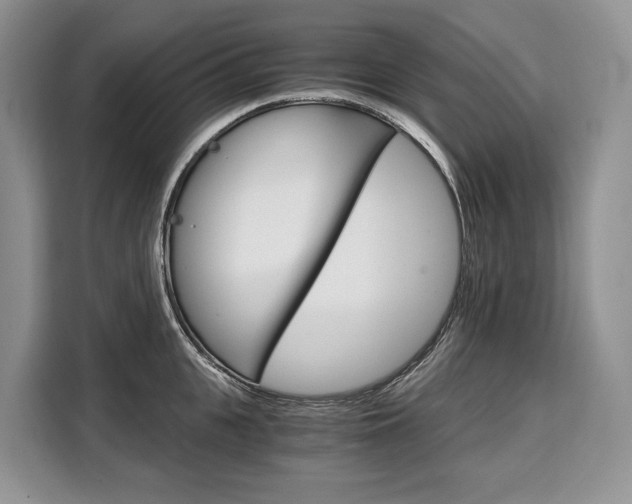 X0000110320951200905211203