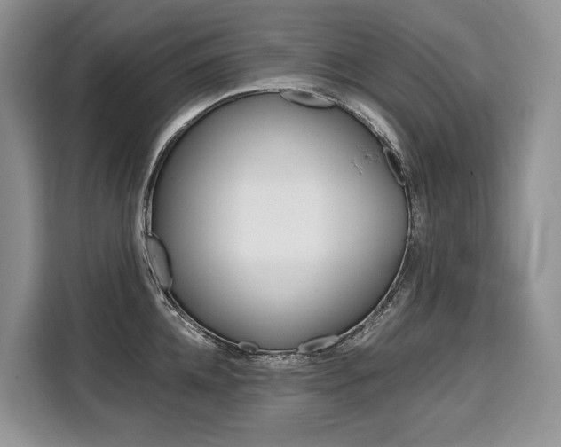 X0000110320952200905211203