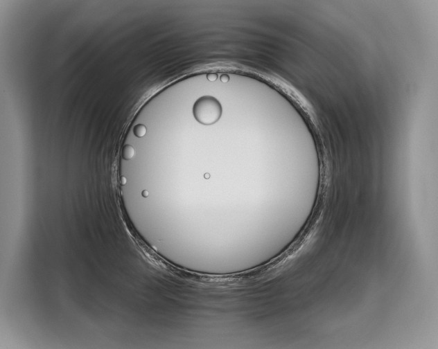 X0000110320953200905211203