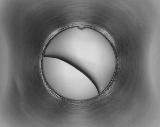 X0000110320954200905211203