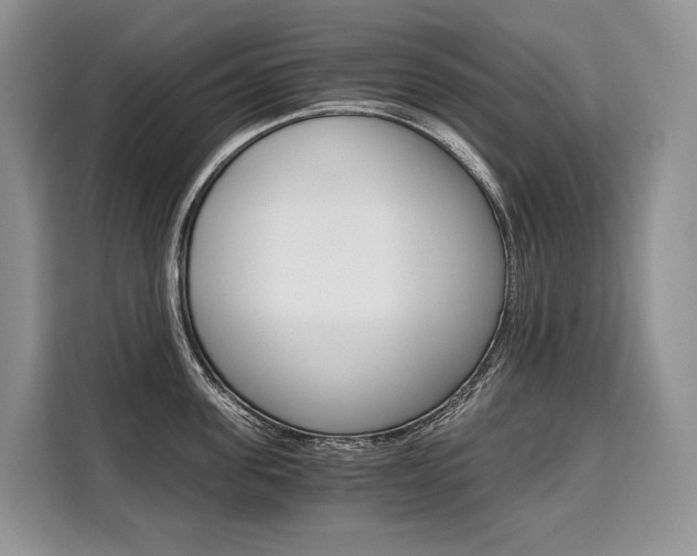 X0000110320955200905211203