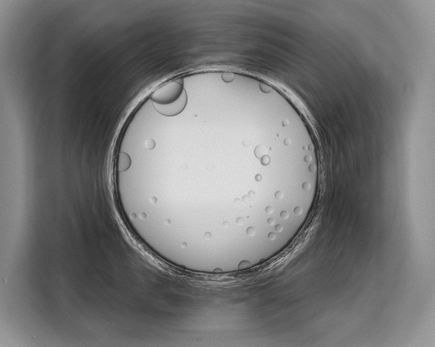X0000110320957200905211203
