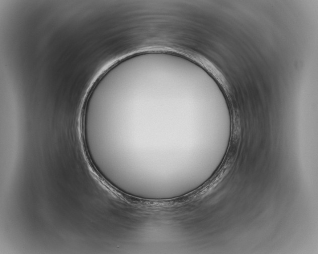 X0000110320958200905211203