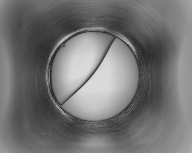 X0000110320959200905211203