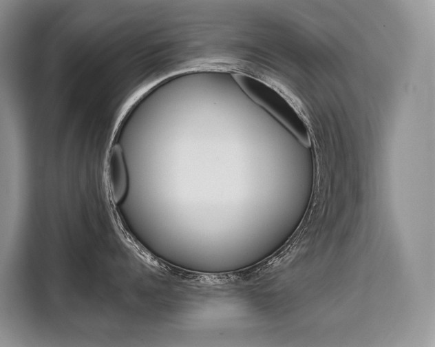 X0000110320960200905211203