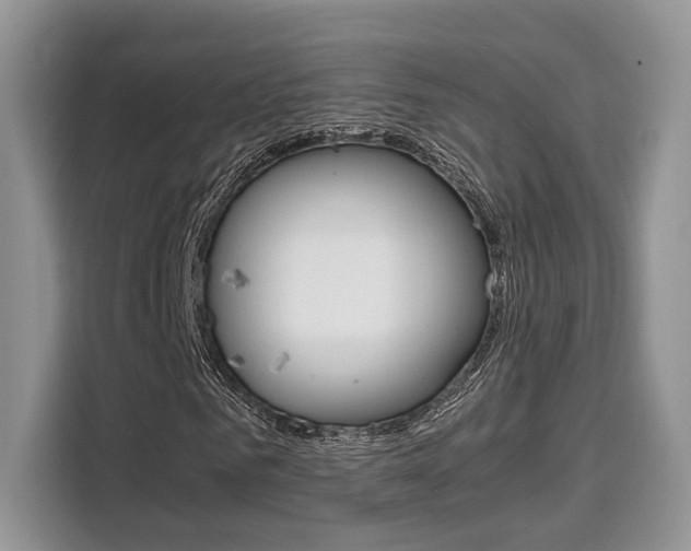 X0000110320961200905211202