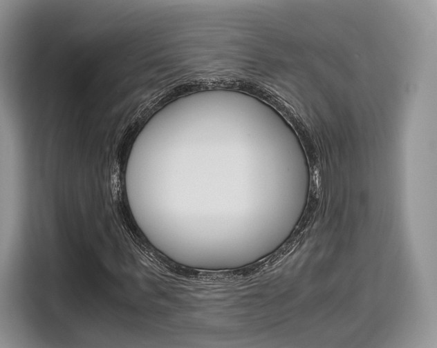 X0000110320963200905211202