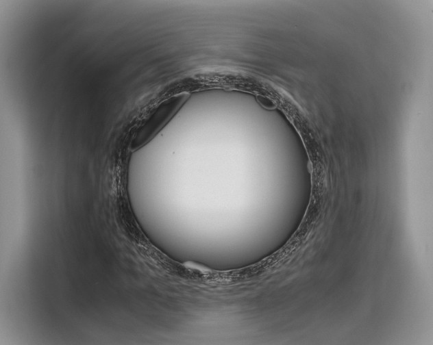 X0000110320965200905211202
