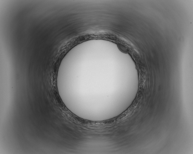 X0000110320966200905211202