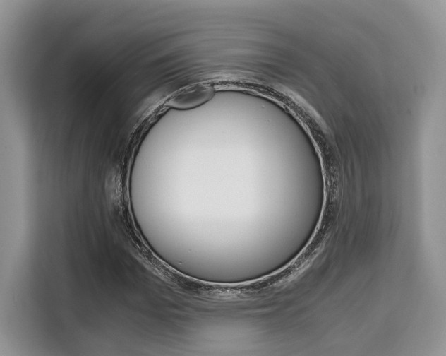 X0000110320969200905211202