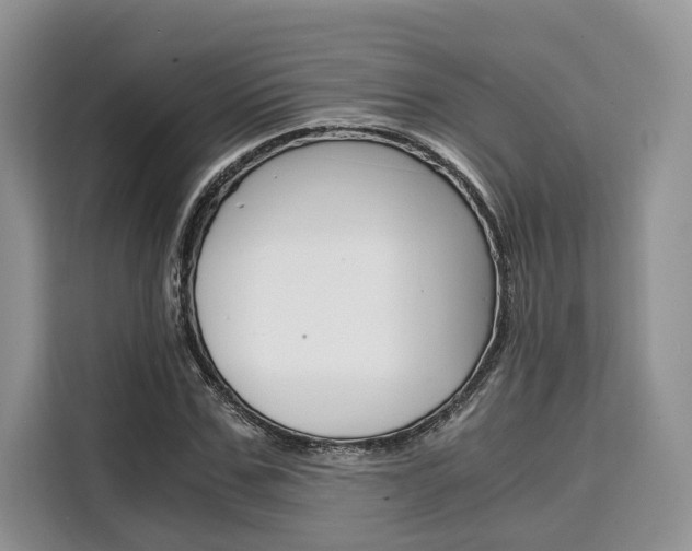 X0000110320971200905211202
