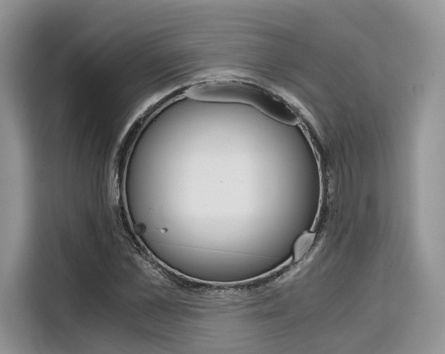 X0000110320973200905211202
