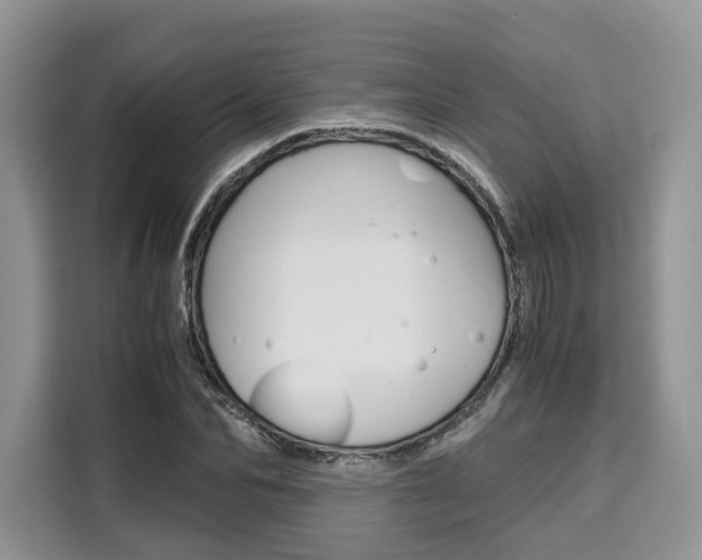 X0000110320974200905211202
