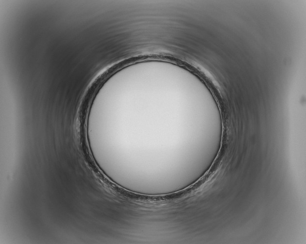 X0000110320975200905211202