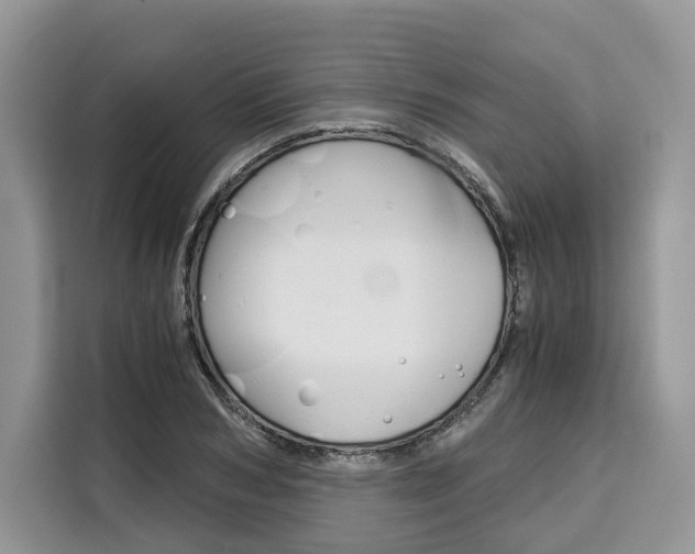 X0000110320978200905211202