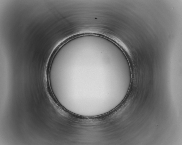 X0000110320980200905211202