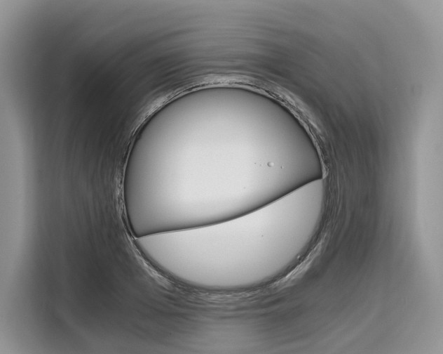 X0000110320985200905211202