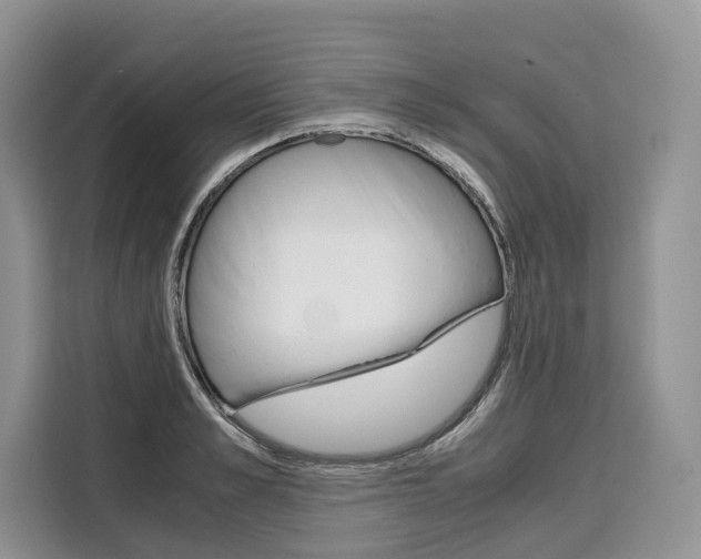 X0000110320989200905211202