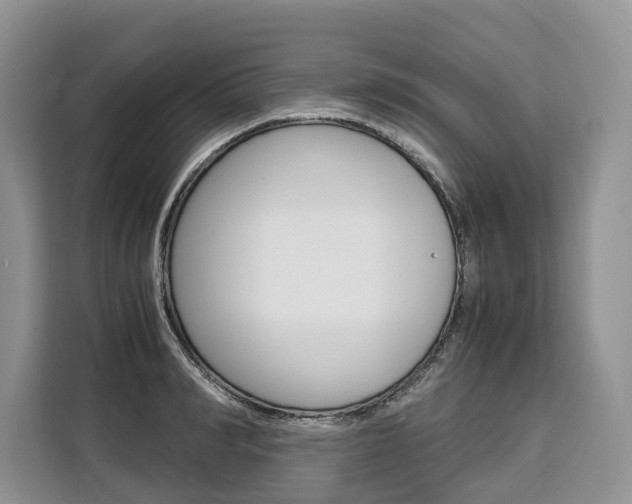 X0000110320990200905211202