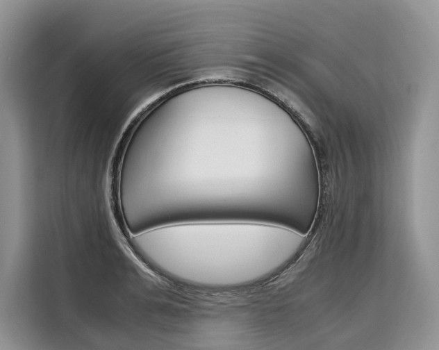 X0000110320991200905211202