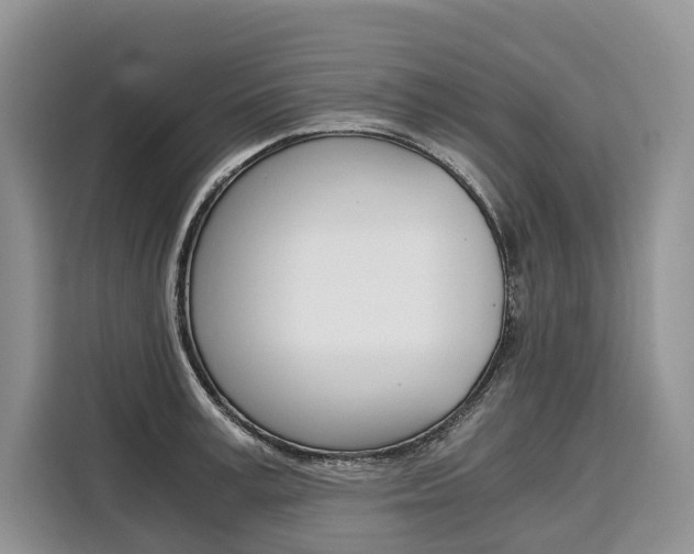 X0000110320995200905211202