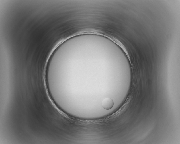 X0000110320997200905211202
