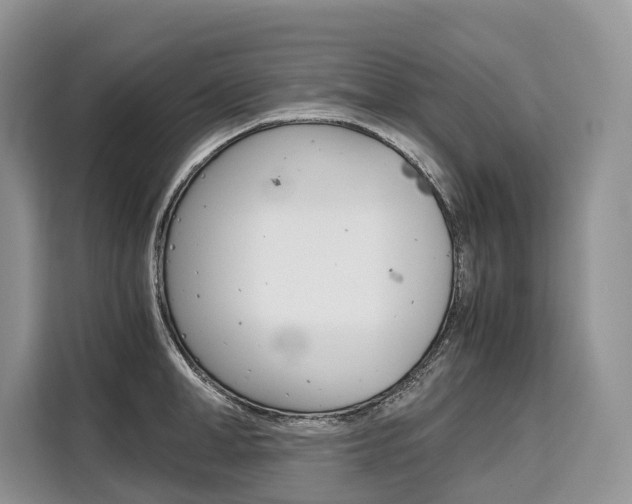 X0000110320998200905211202