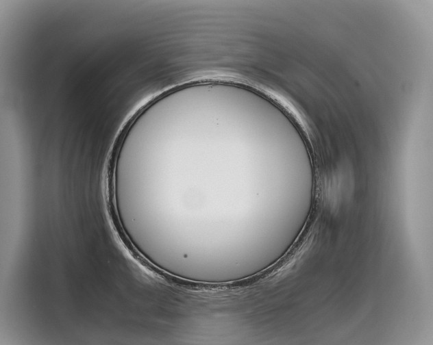 X0000110320999200905211202