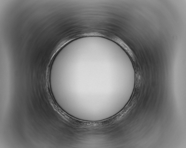 X0000110321002200905211202