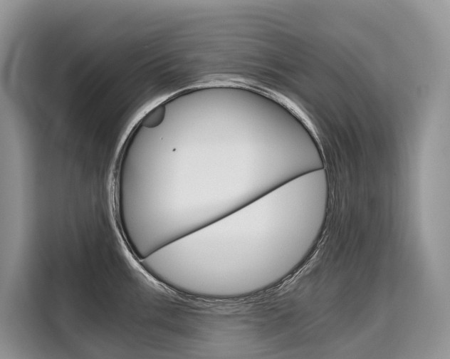 X0000110321003200905211202