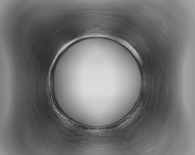 X0000110321004200905211202