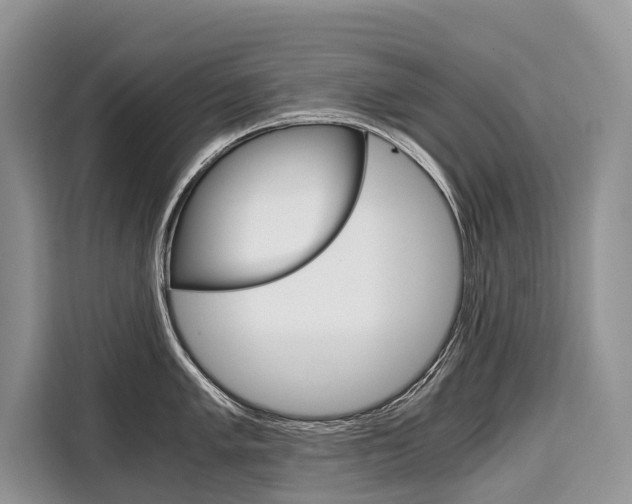 X0000110321005200905211202