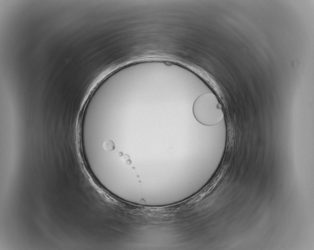 X0000110321006200905211202