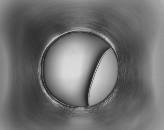 X0000110321007200905211202