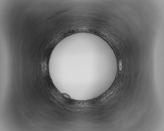 X0000110321011200905211201