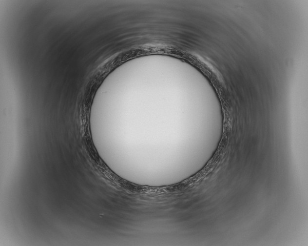 X0000110321015200905211201