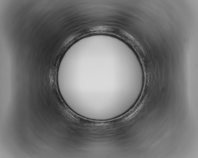 X0000110321017200905211201