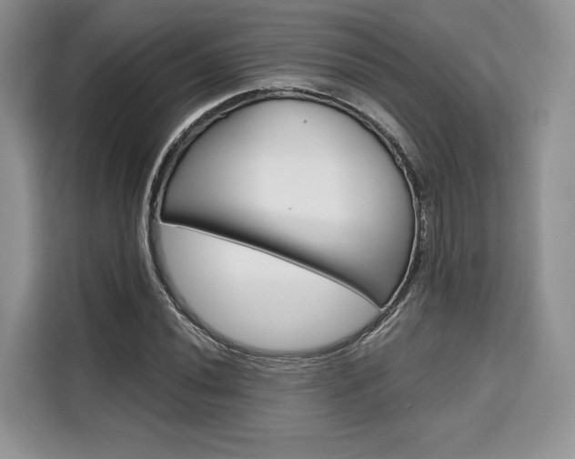 X0000110321020200905211201