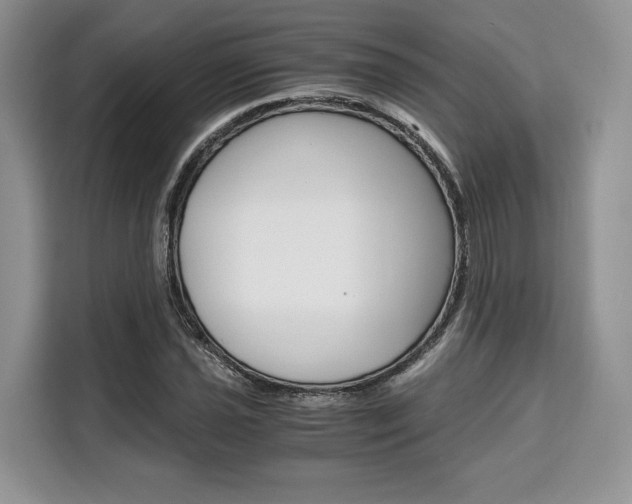 X0000110321021200905211201