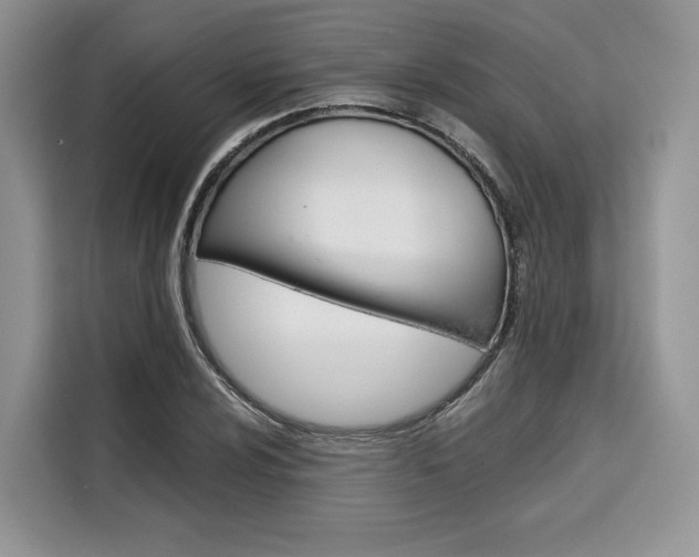X0000110321024200905211201