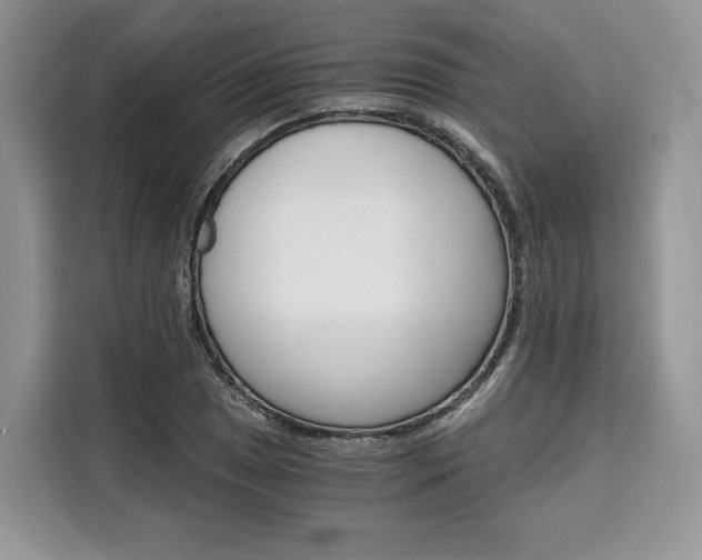X0000110321025200905211201