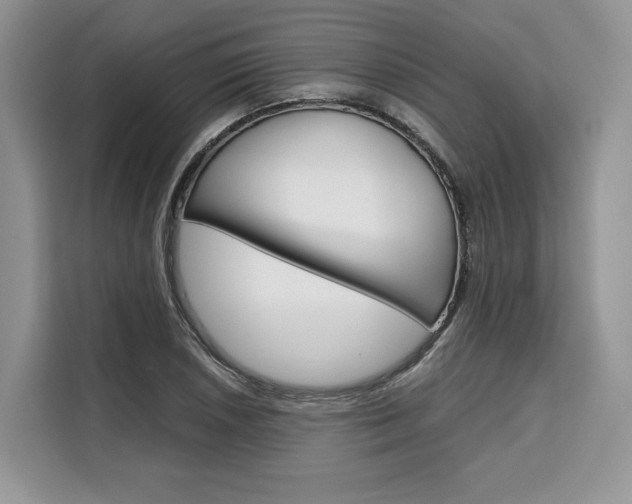 X0000110321026200905211201