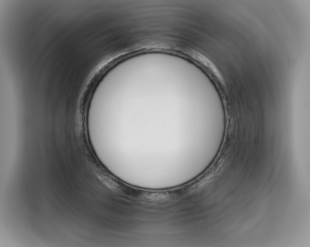 X0000110321027200905211201