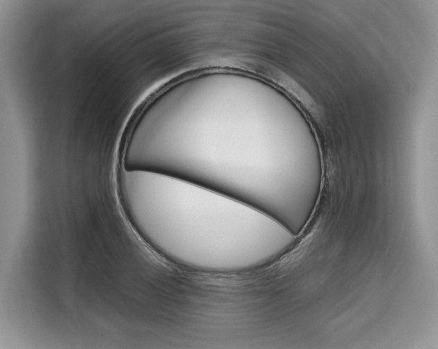 X0000110321028200905211201