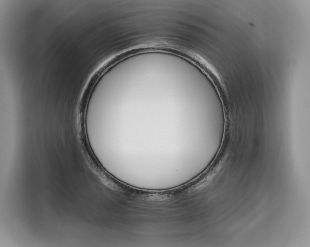 X0000110321029200905211201